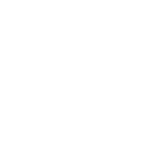 Professional R&D Team